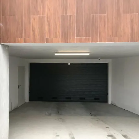 Premium Garage-finnish Sauna *